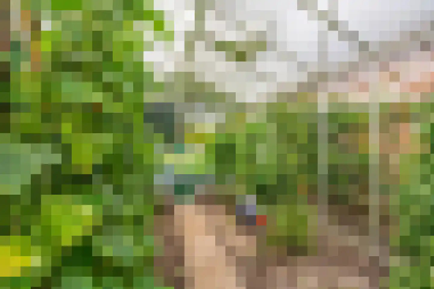 Onstwedderweg 86 Vlagtwedde thumbnail 17