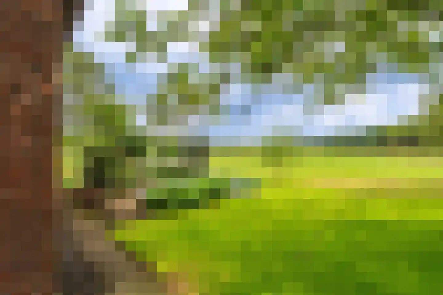 Onstwedderweg 86 Vlagtwedde thumbnail 18