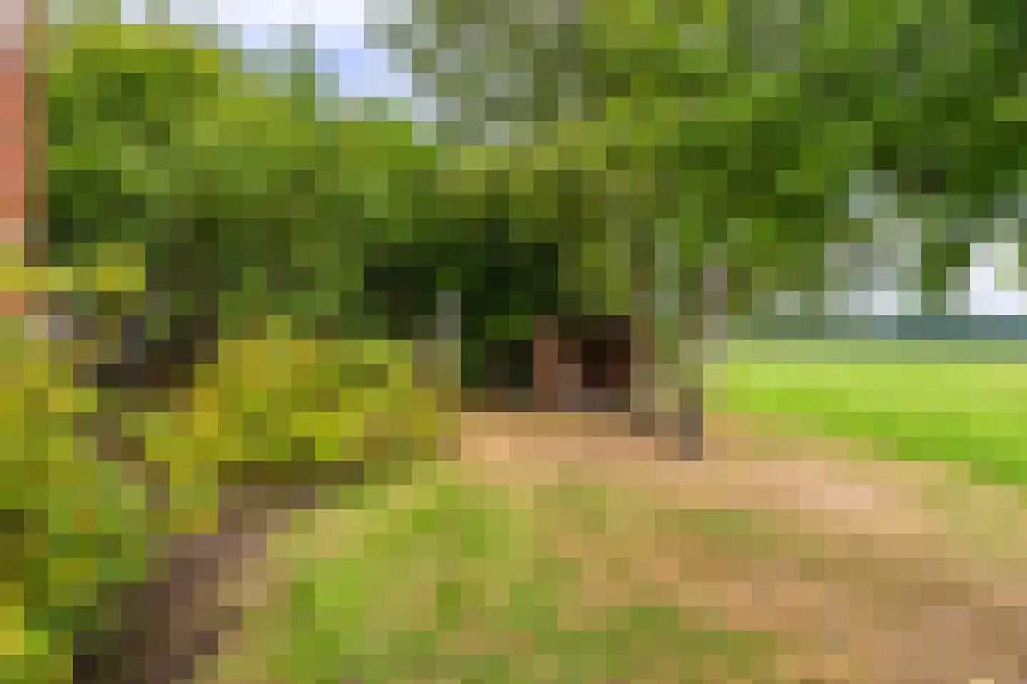 Onstwedderweg 86 Vlagtwedde thumbnail 19