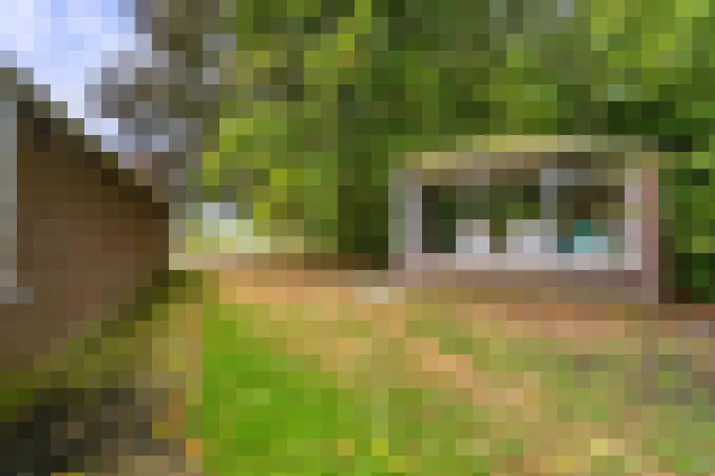 Onstwedderweg 86 Vlagtwedde thumbnail 21