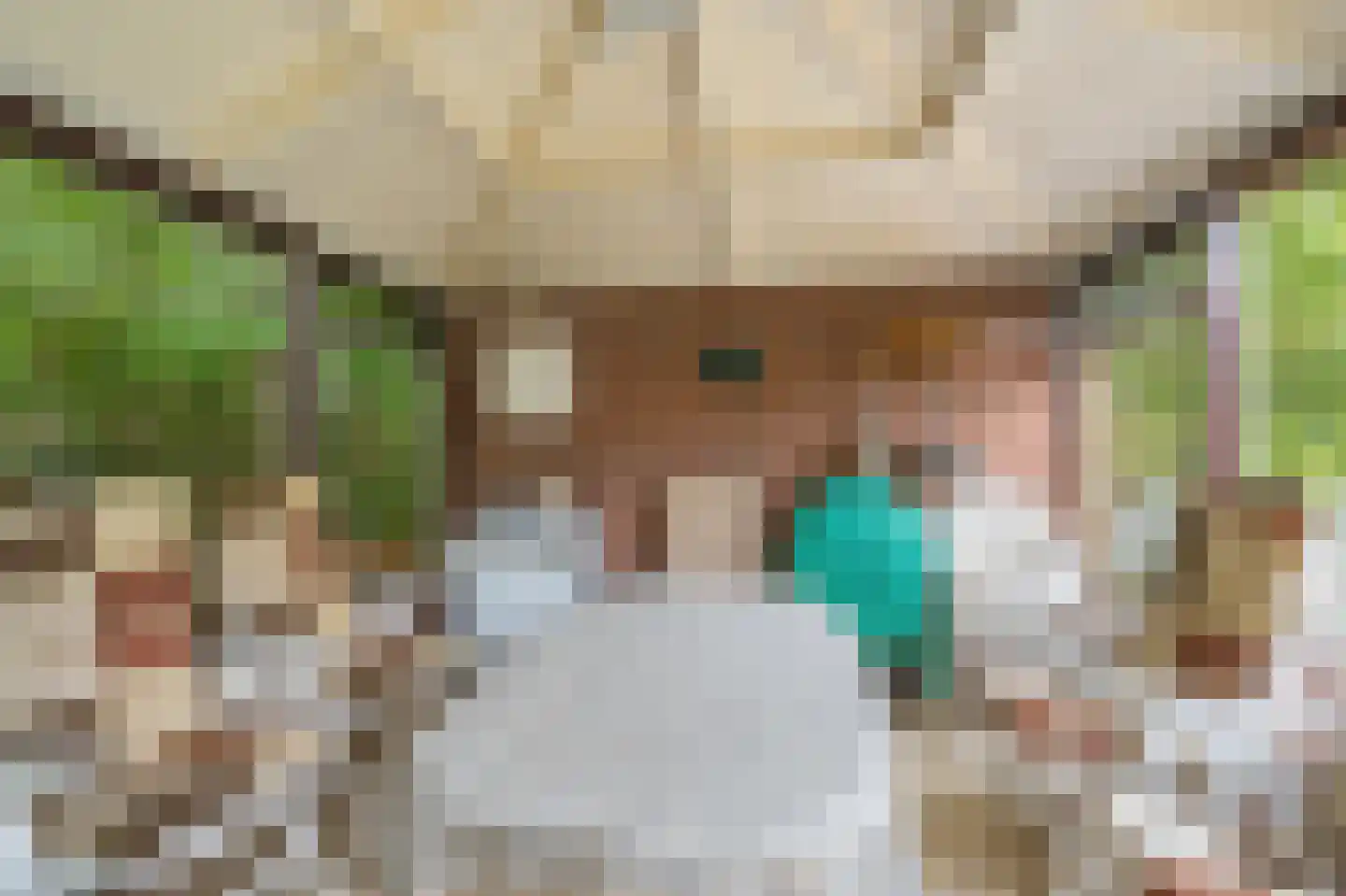 Onstwedderweg 86 Vlagtwedde thumbnail 22