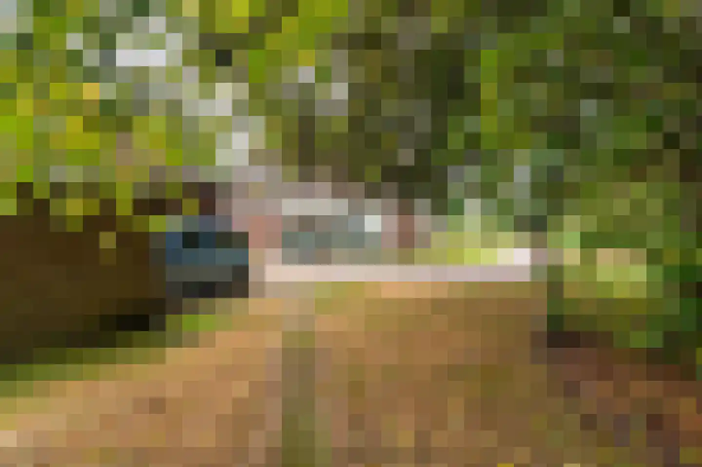 Onstwedderweg 86 Vlagtwedde thumbnail 23