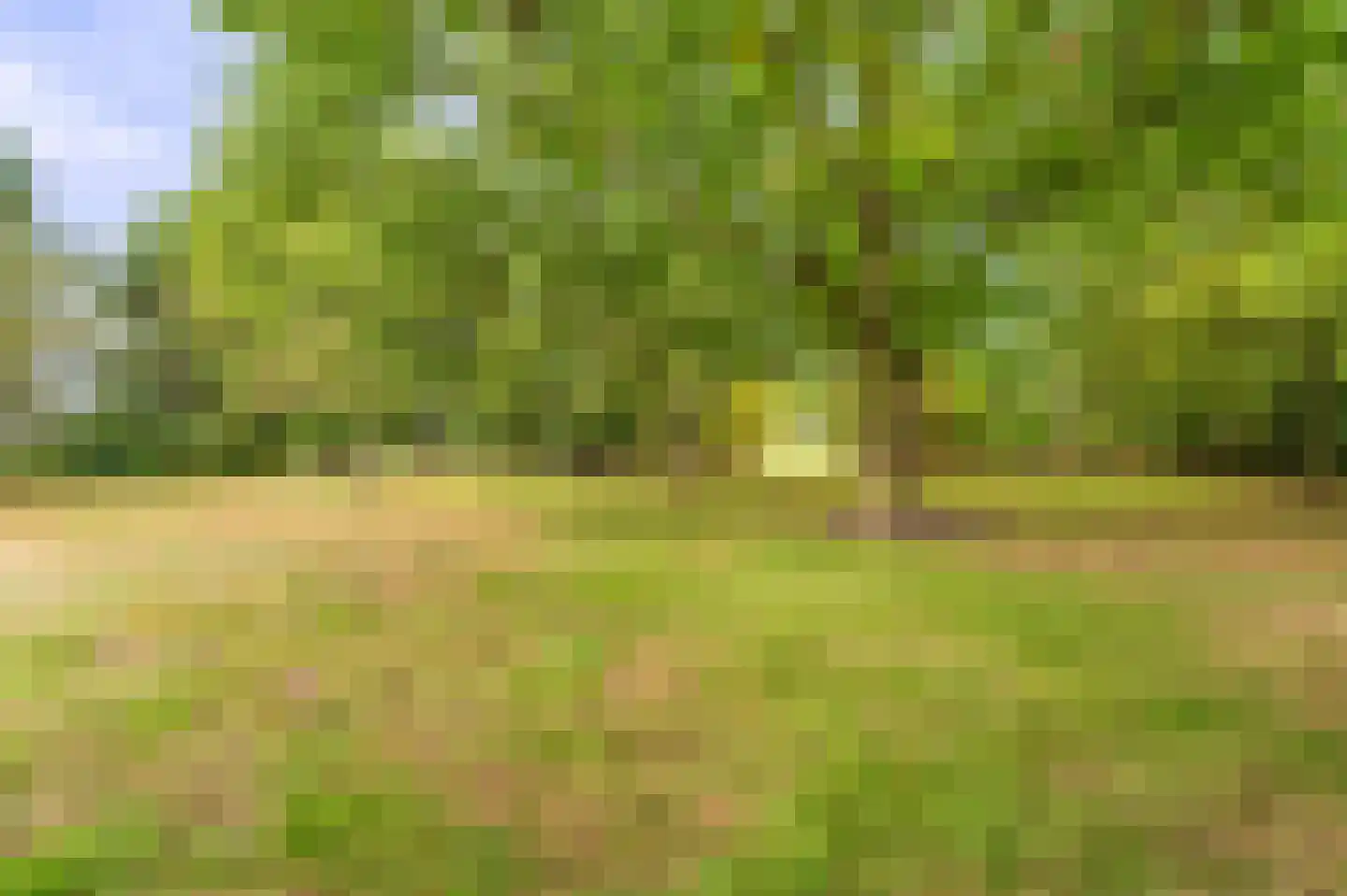 Onstwedderweg 86 Vlagtwedde thumbnail 24