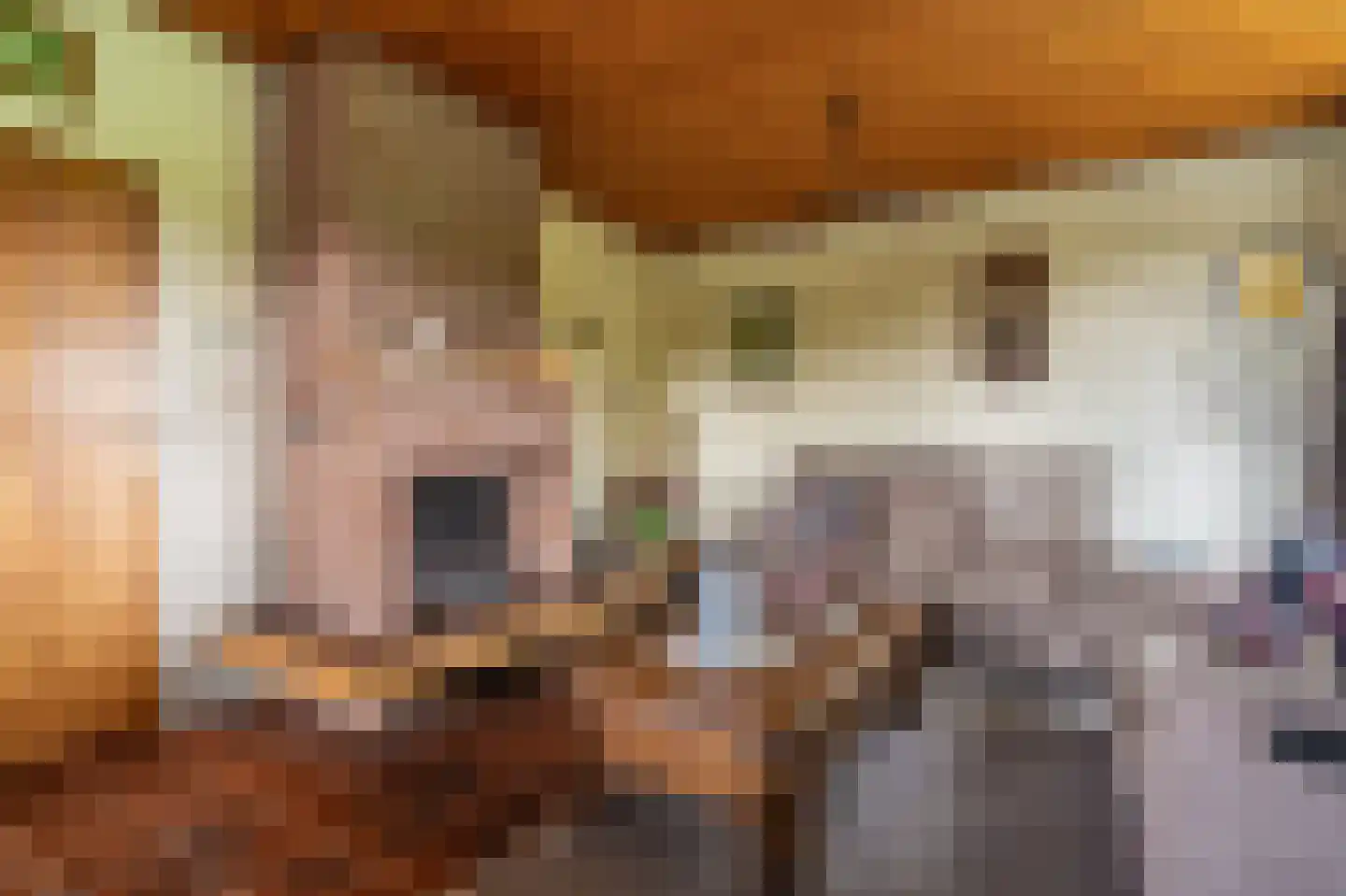 Onstwedderweg 86 Vlagtwedde thumbnail 28