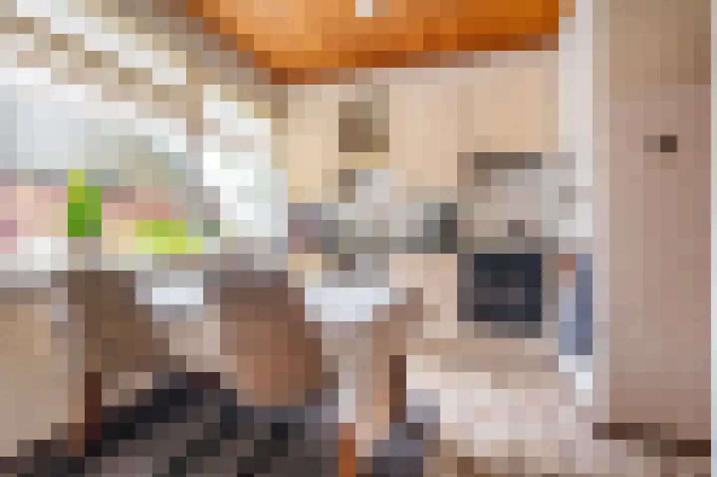 Onstwedderweg 86 Vlagtwedde thumbnail 32