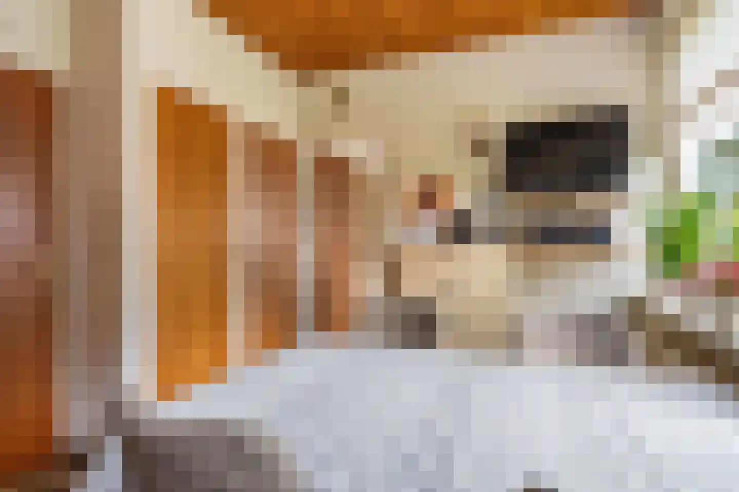 Onstwedderweg 86 Vlagtwedde thumbnail 34