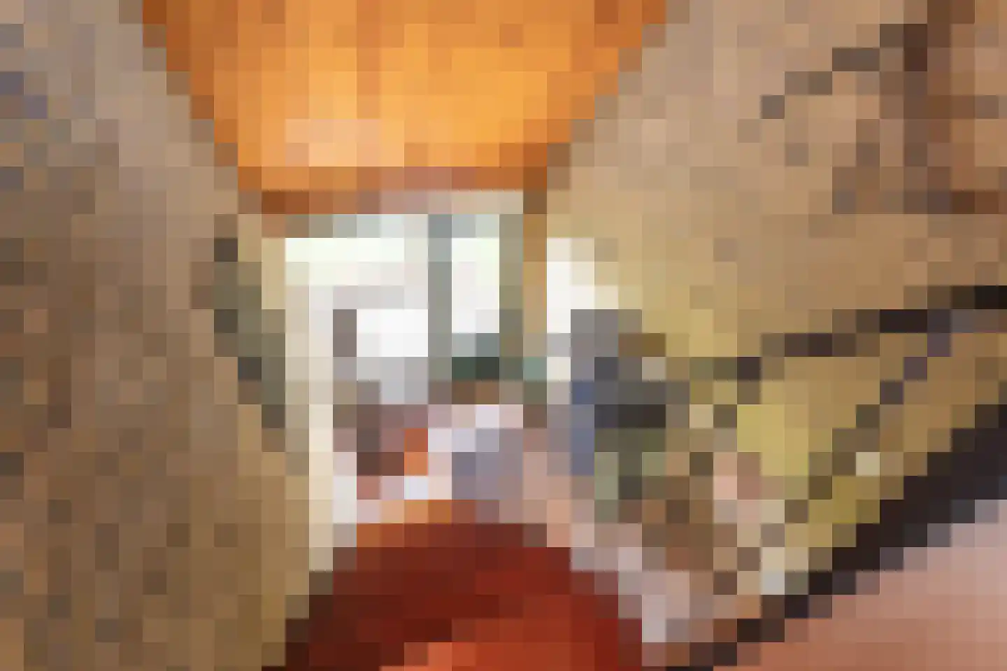 Onstwedderweg 86 Vlagtwedde thumbnail 43