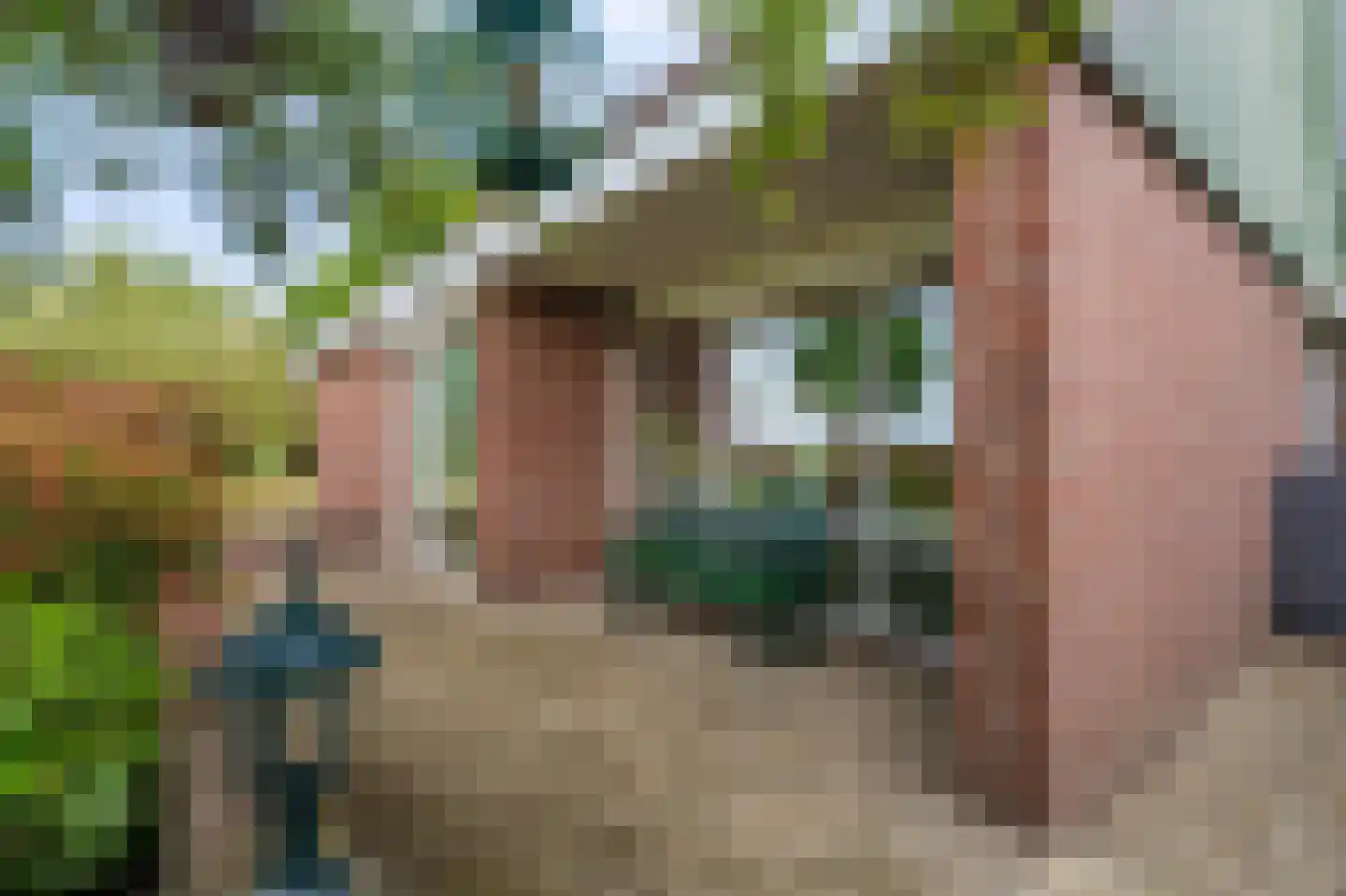 Onstwedderweg 86 Vlagtwedde thumbnail 7