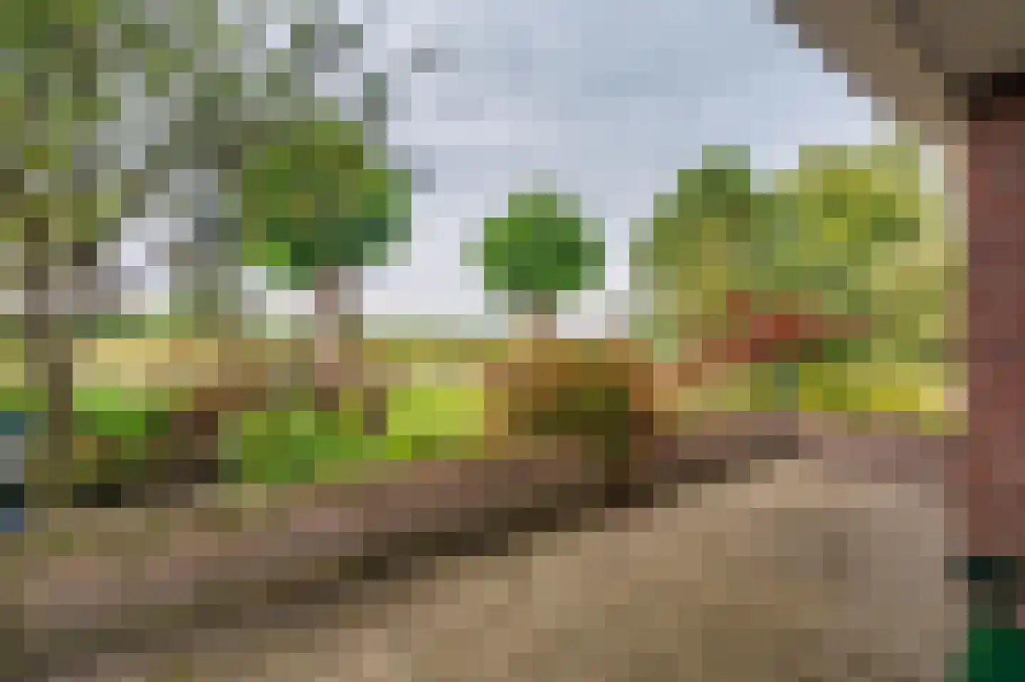 Onstwedderweg 86 Vlagtwedde thumbnail 8