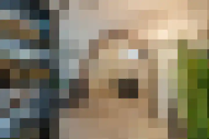 Onstwedderweg 91 Nieuwe Pekela thumbnail 10