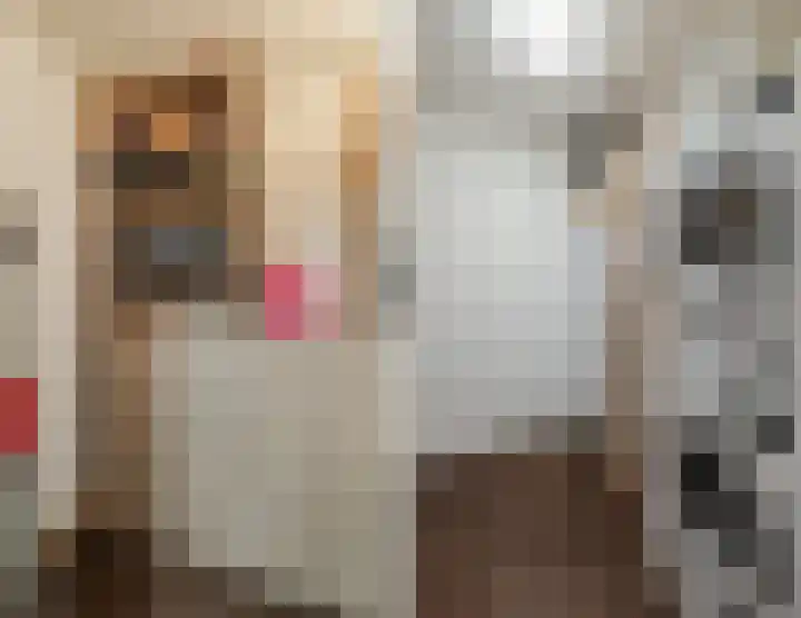 Onstwedderweg 91 Nieuwe Pekela thumbnail 17