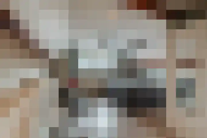 Onstwedderweg 91 Nieuwe Pekela thumbnail 20
