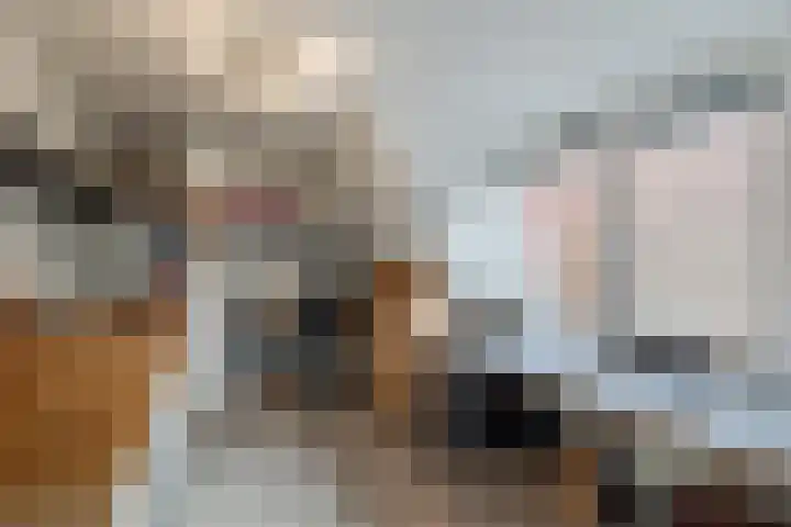 Onstwedderweg 91 Nieuwe Pekela thumbnail 24