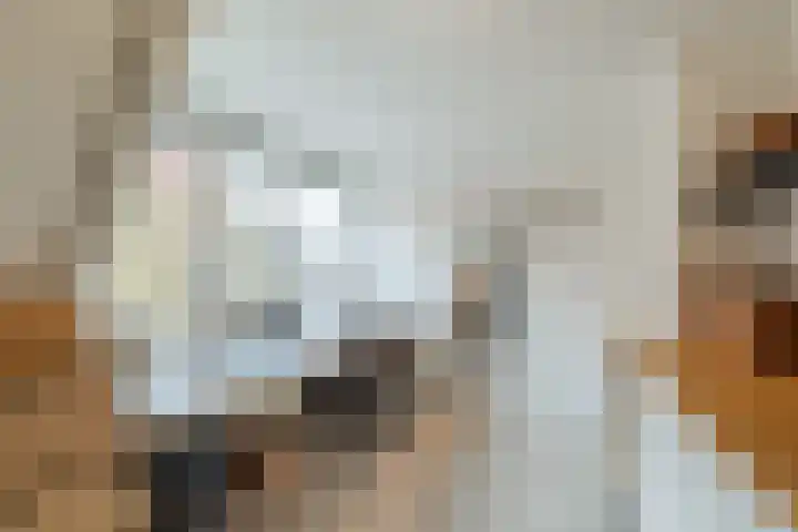 Onstwedderweg 91 Nieuwe Pekela thumbnail 25