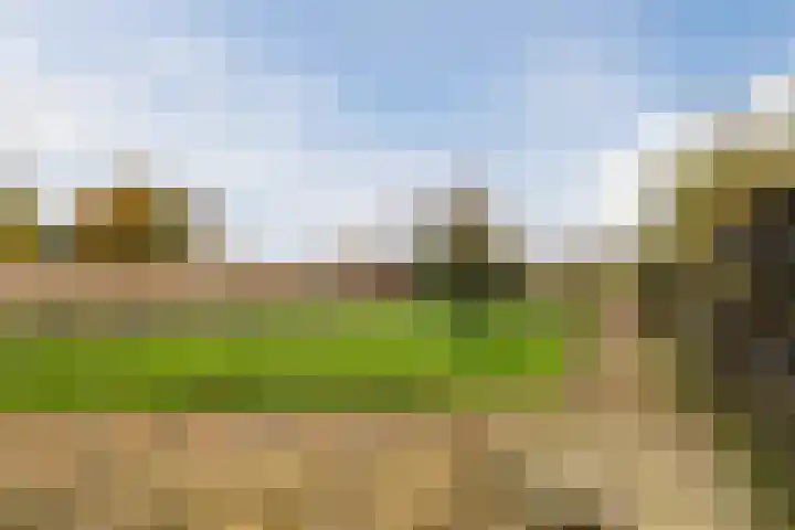 Onstwedderweg 91 Nieuwe Pekela thumbnail 36