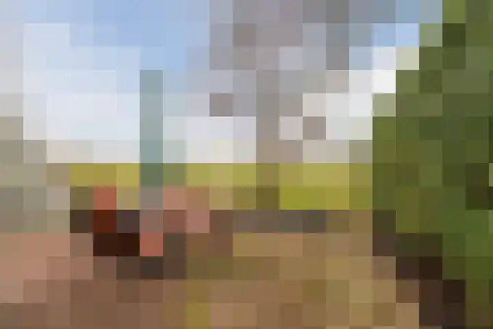 Onstwedderweg 91 Nieuwe Pekela thumbnail 39