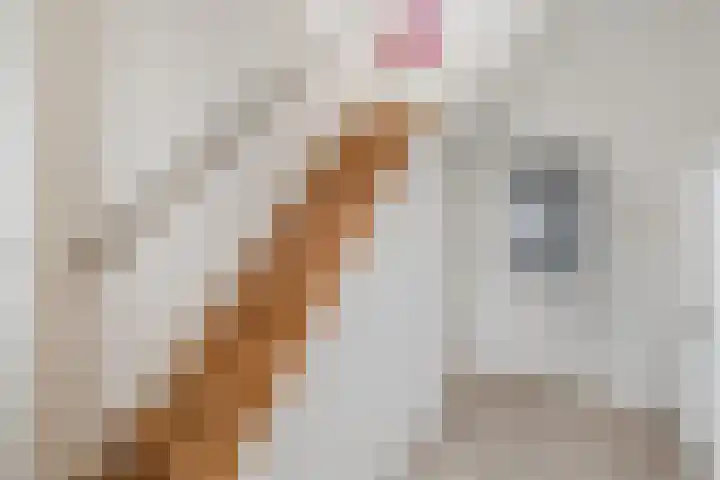 Onstwedderweg 91 Nieuwe Pekela thumbnail 4