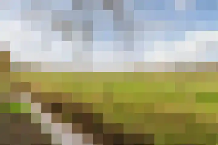 Onstwedderweg 91 Nieuwe Pekela thumbnail 40