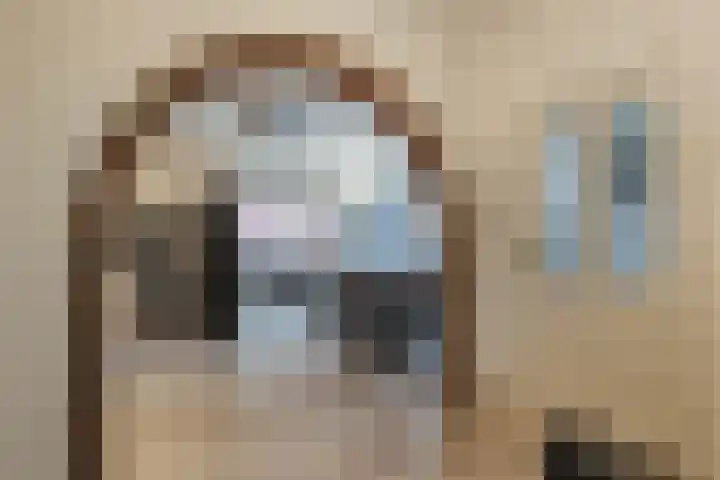 Onstwedderweg 91 Nieuwe Pekela thumbnail 6