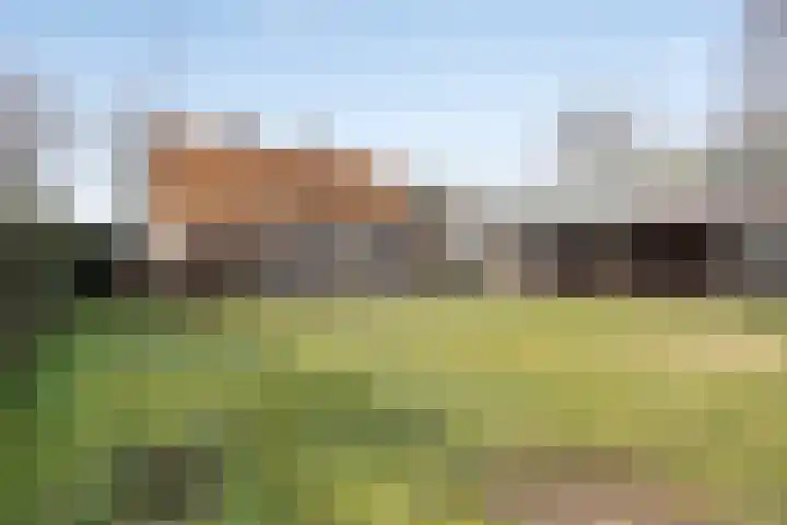 Ontginningsweg 13 Haghorst thumbnail 32