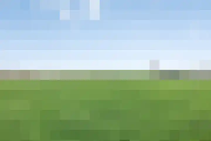 Ontginningsweg 13 Haghorst thumbnail 48