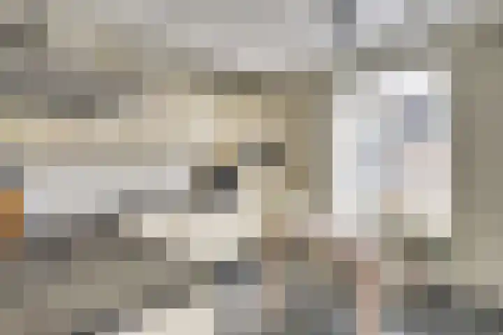 Ontginningsweg 16 Haghorst thumbnail 17
