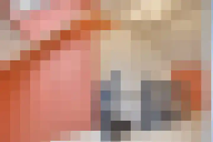 Ontginningsweg 16 Haghorst thumbnail 27