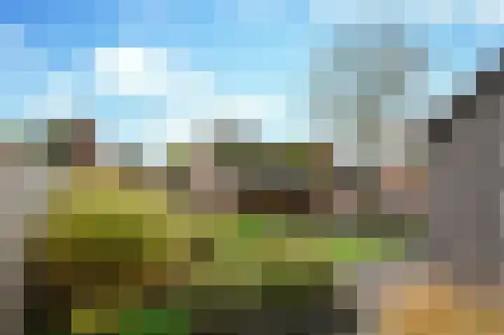 Ontginningsweg 16 Haghorst thumbnail 36