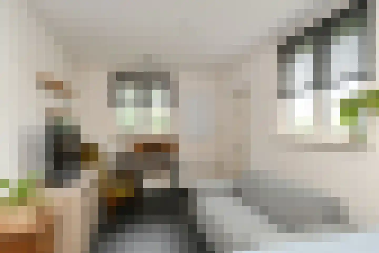 Ontginningsweg 6 Grashoek thumbnail 34