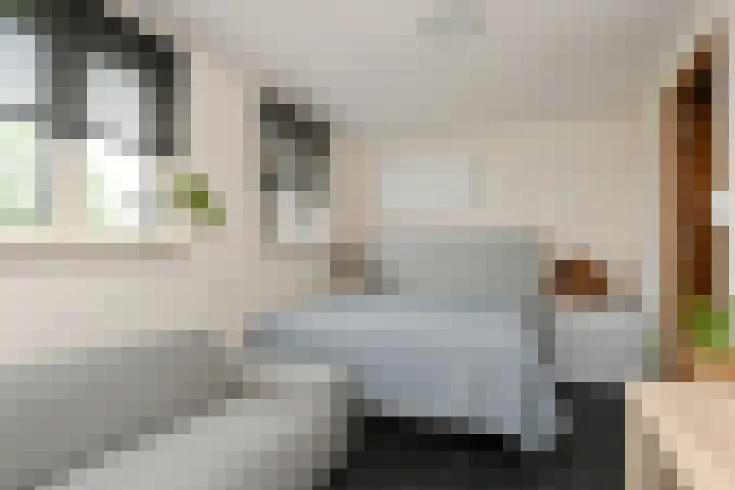 Ontginningsweg 6 Grashoek thumbnail 35