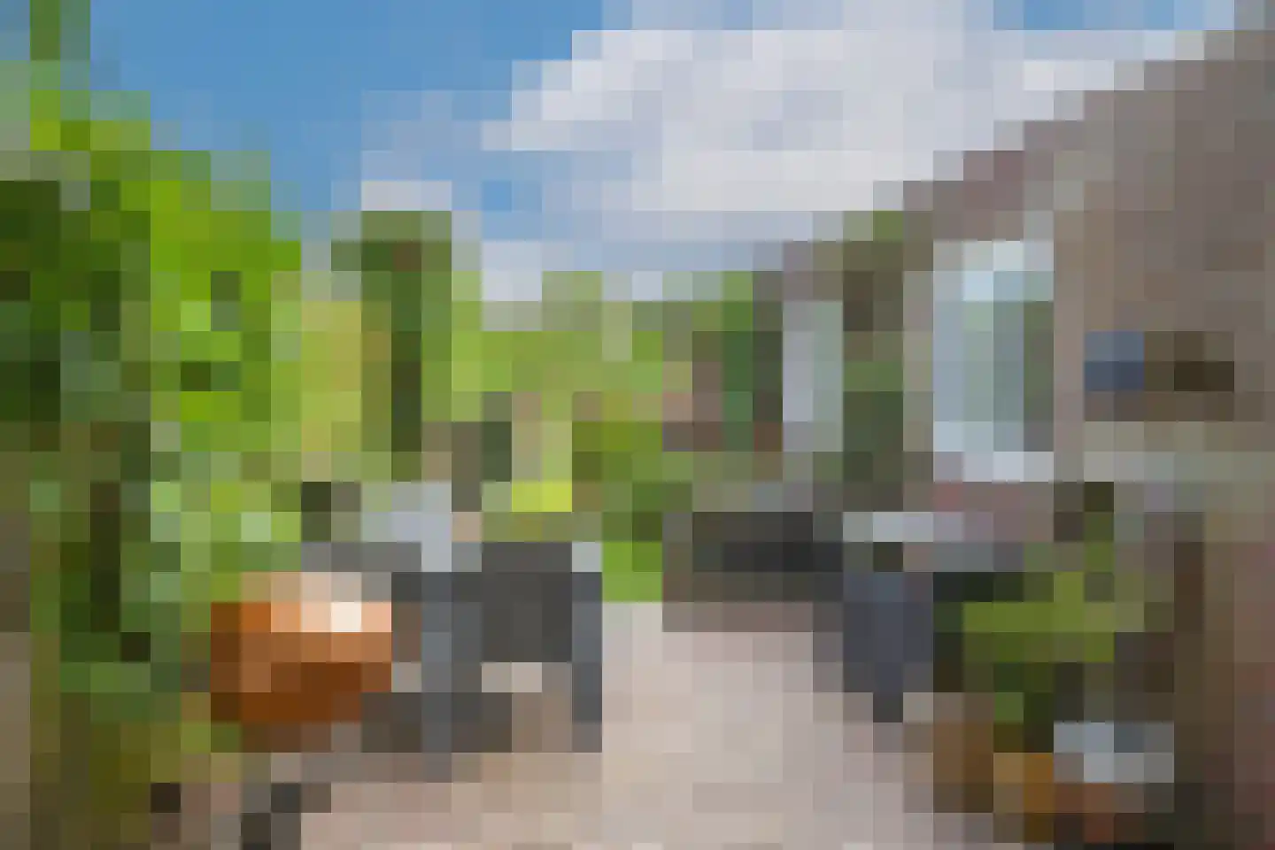 Ontginningsweg 6 Grashoek thumbnail 36