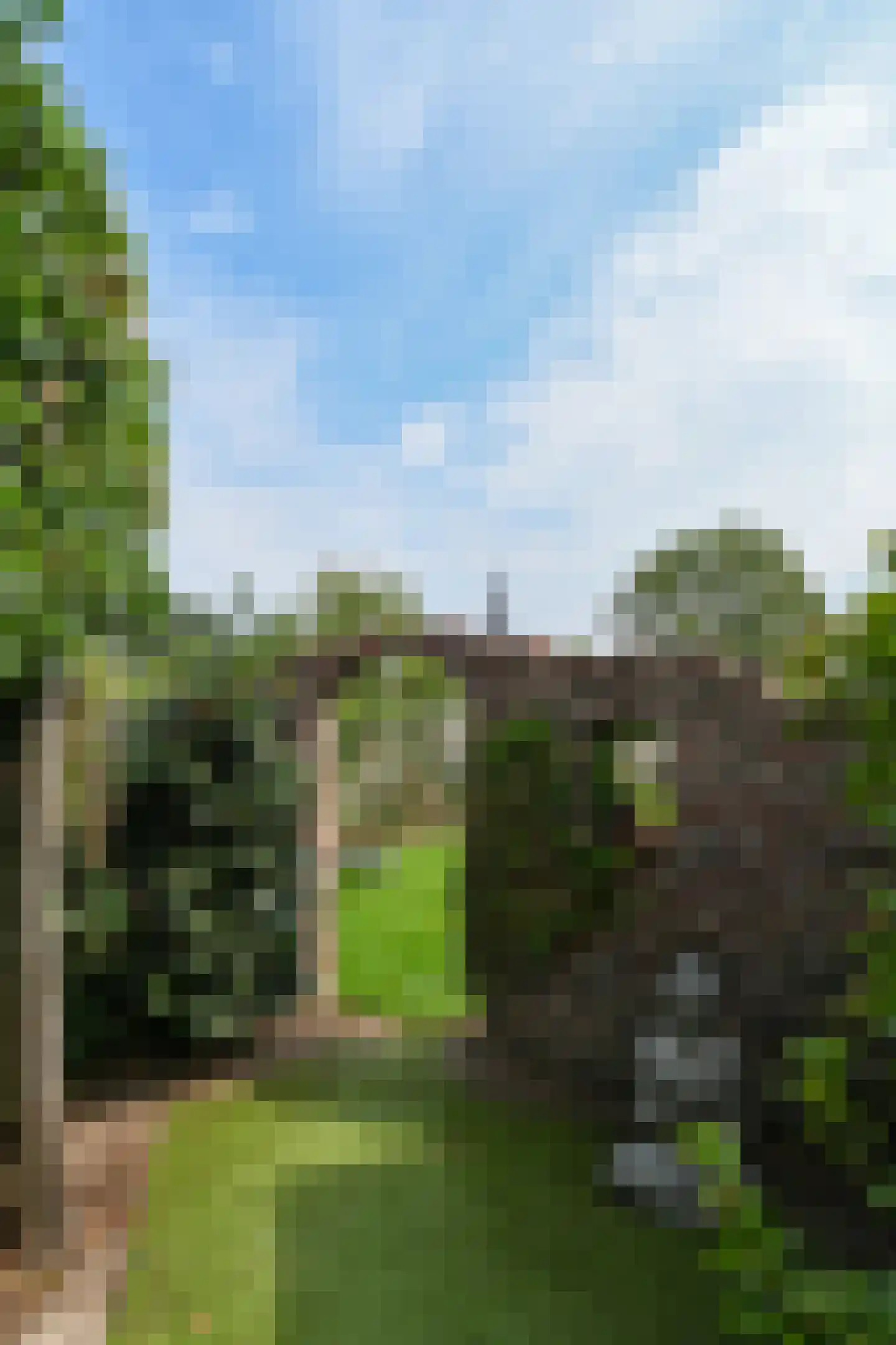 Ontginningsweg 6 Grashoek thumbnail 41