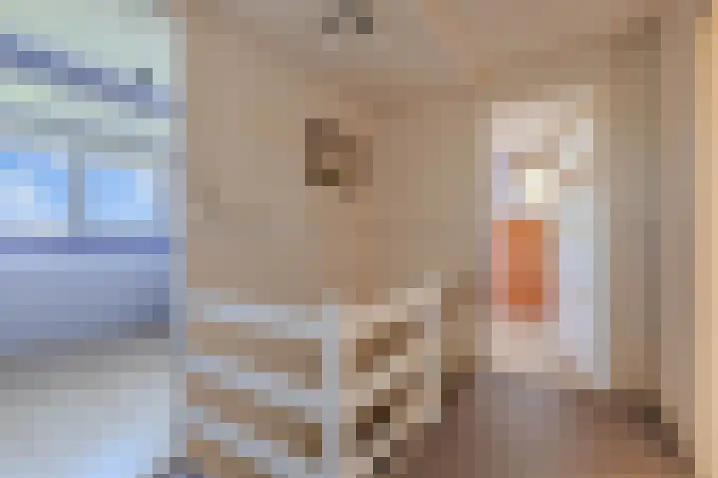 Ontginningsweg 6 Nijeholtwolde thumbnail 18