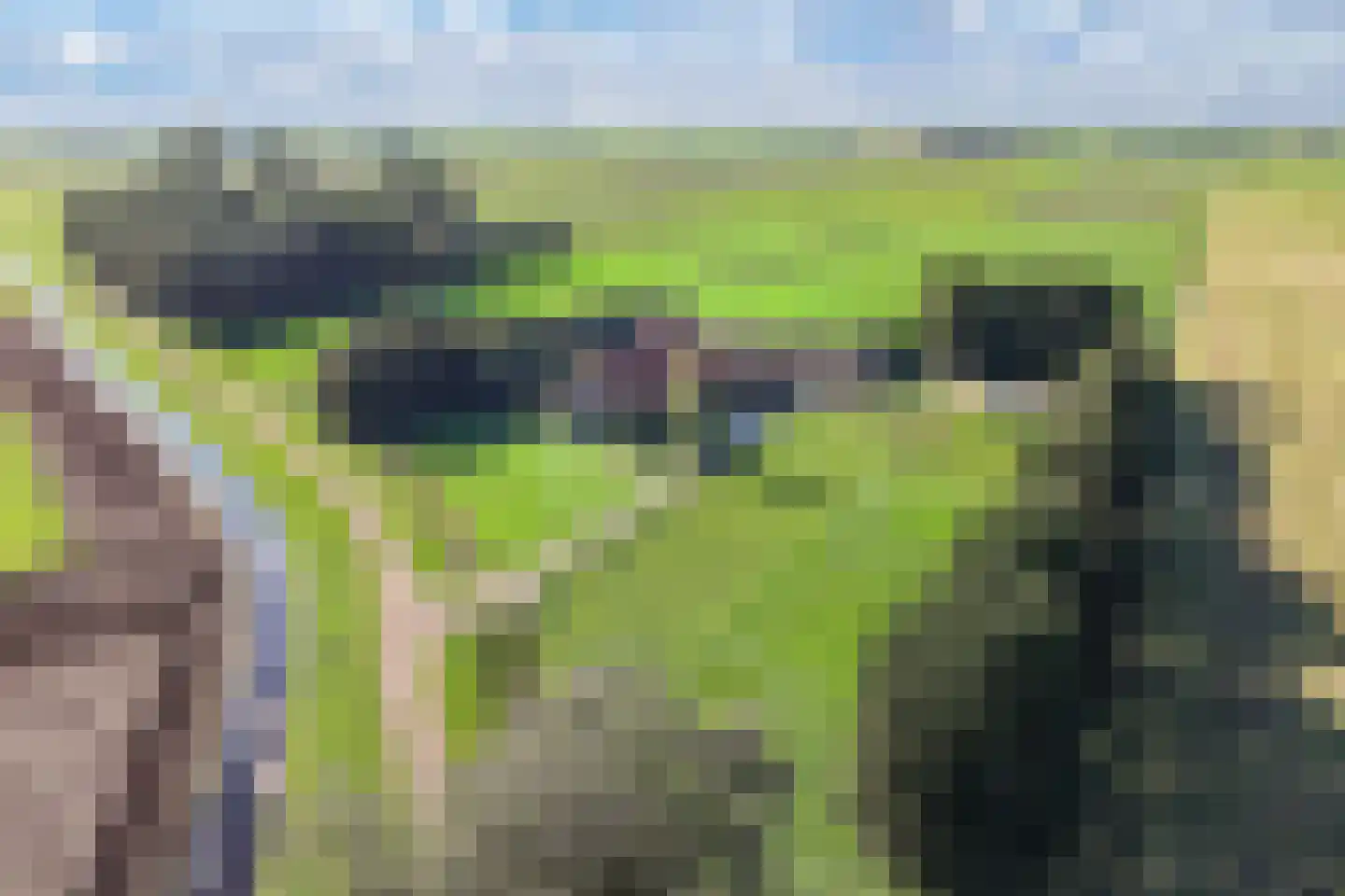 Ontginningsweg 6 Nijeholtwolde foto 2