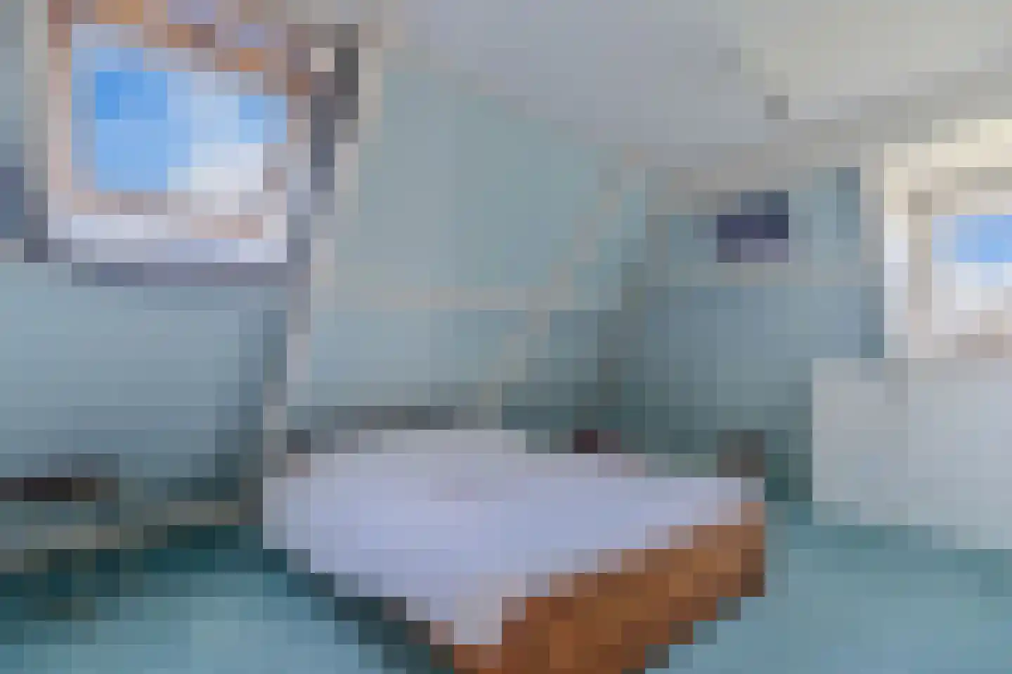 Ontginningsweg 6 Nijeholtwolde thumbnail 21