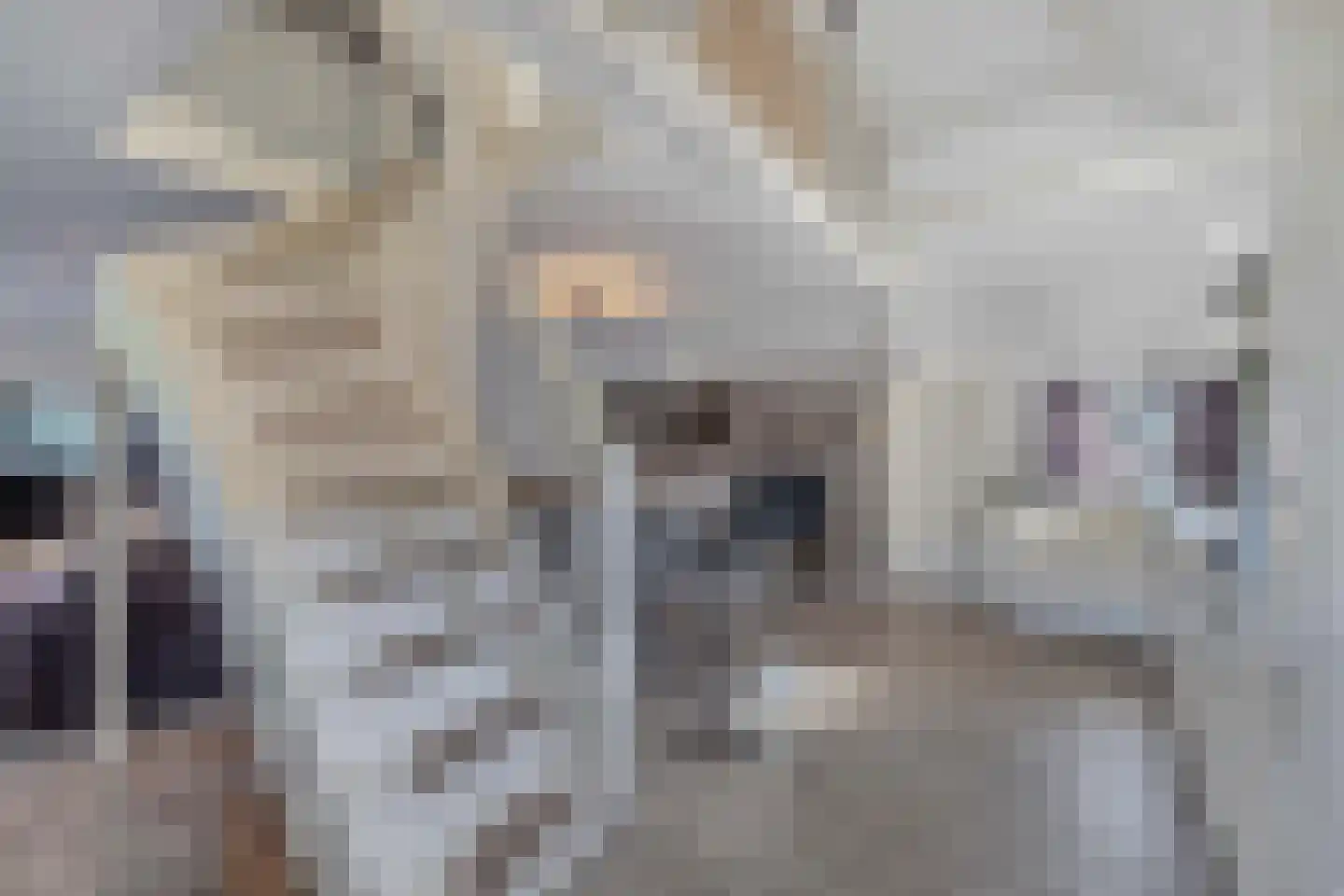 Ontginningsweg 6 Nijeholtwolde thumbnail 31