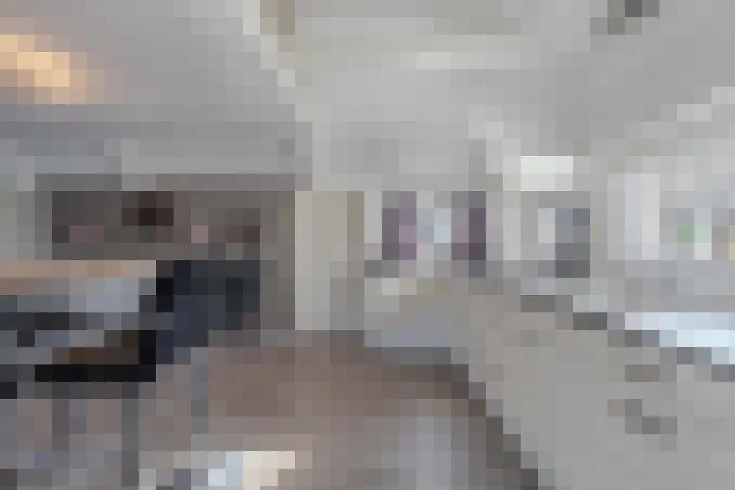 Ontginningsweg 6 Nijeholtwolde thumbnail 32