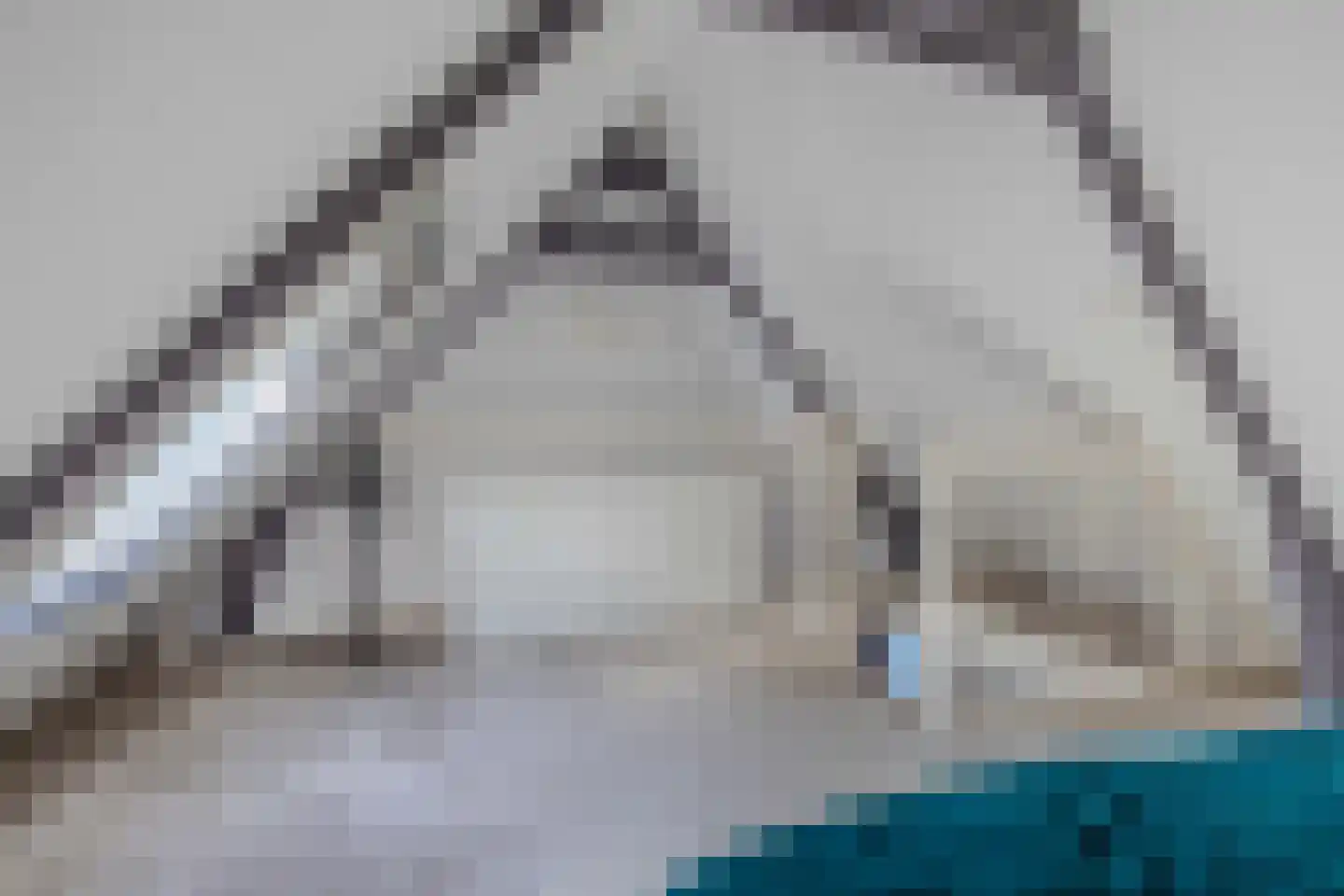 Ontginningsweg 6 Nijeholtwolde thumbnail 37