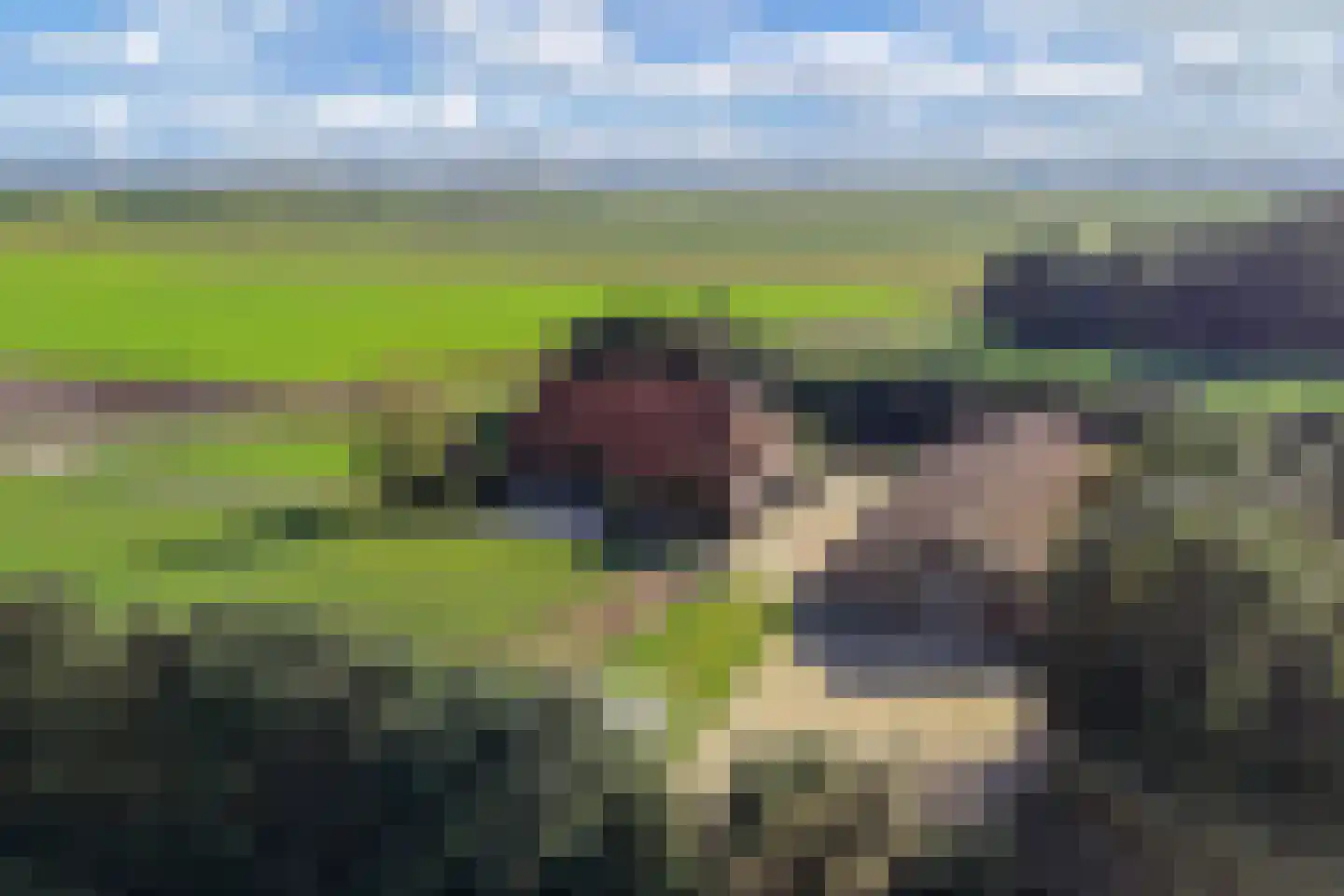 Ontginningsweg 6 Nijeholtwolde thumbnail 41