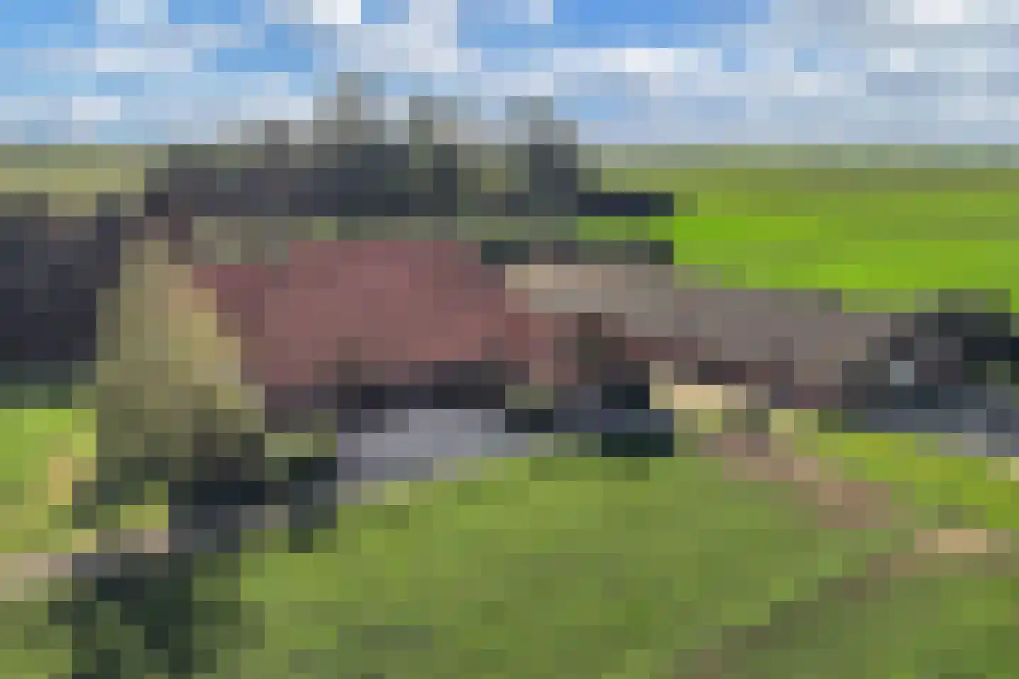 Ontginningsweg 6 Nijeholtwolde thumbnail 42