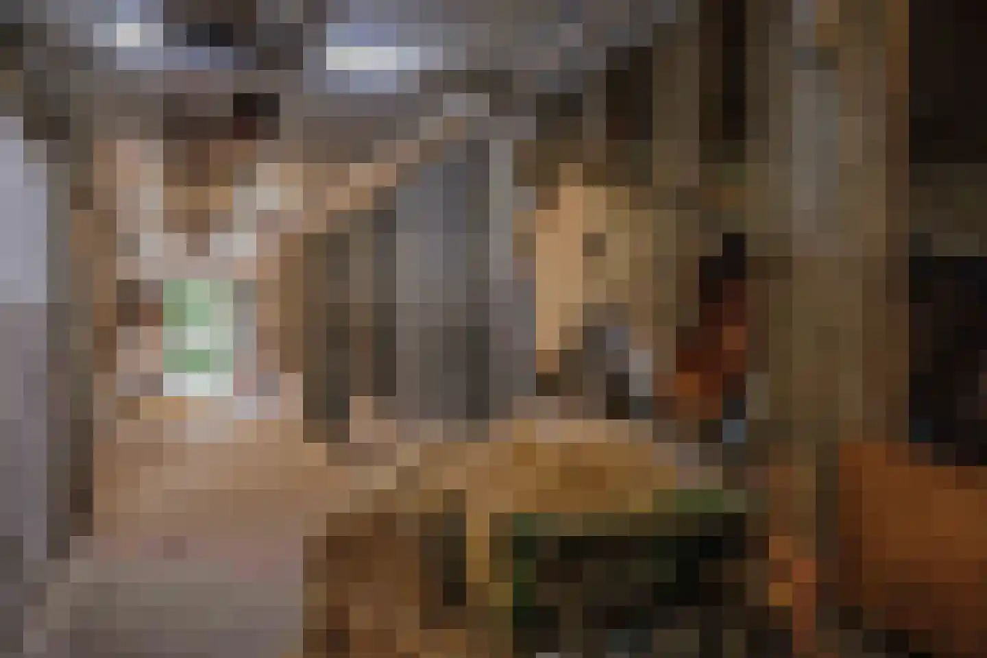 Ontginningsweg 6 Nijeholtwolde thumbnail 52
