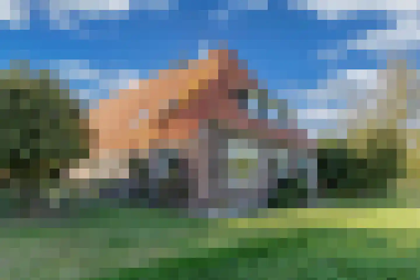 Ontginningsweg 6 Nijeholtwolde thumbnail 56