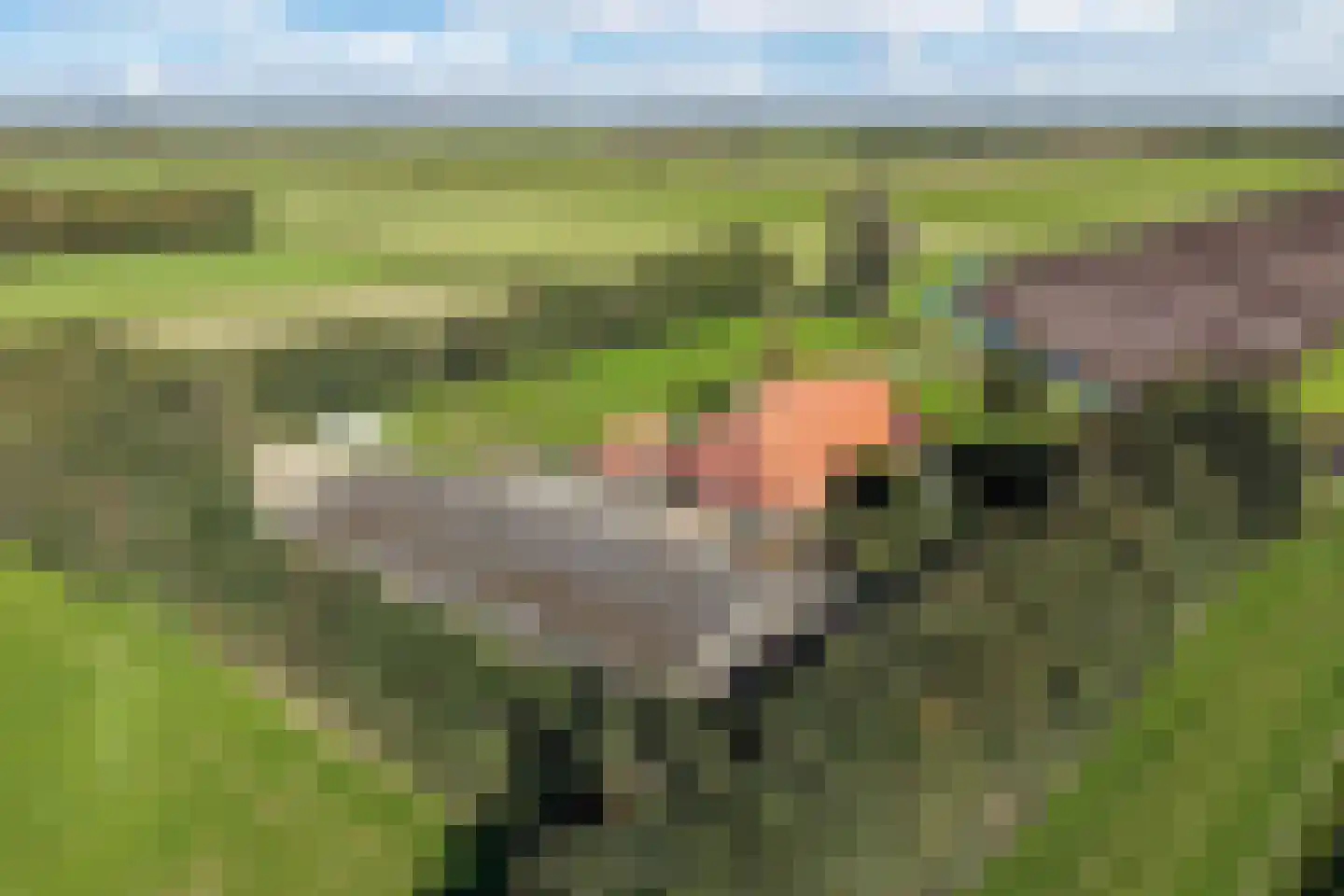 Ontginningsweg 6 Nijeholtwolde thumbnail 59