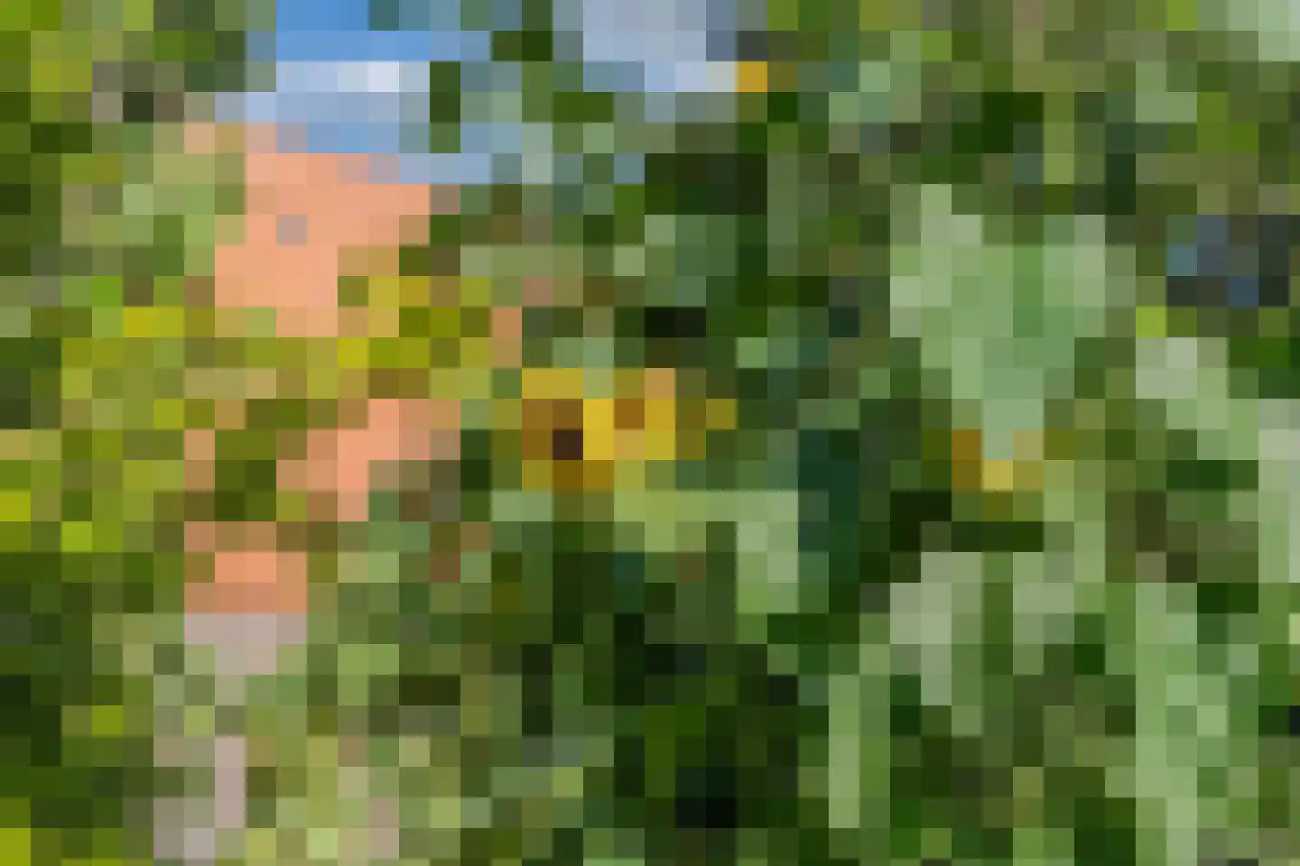 Ontginningsweg 6 Nijeholtwolde thumbnail 60
