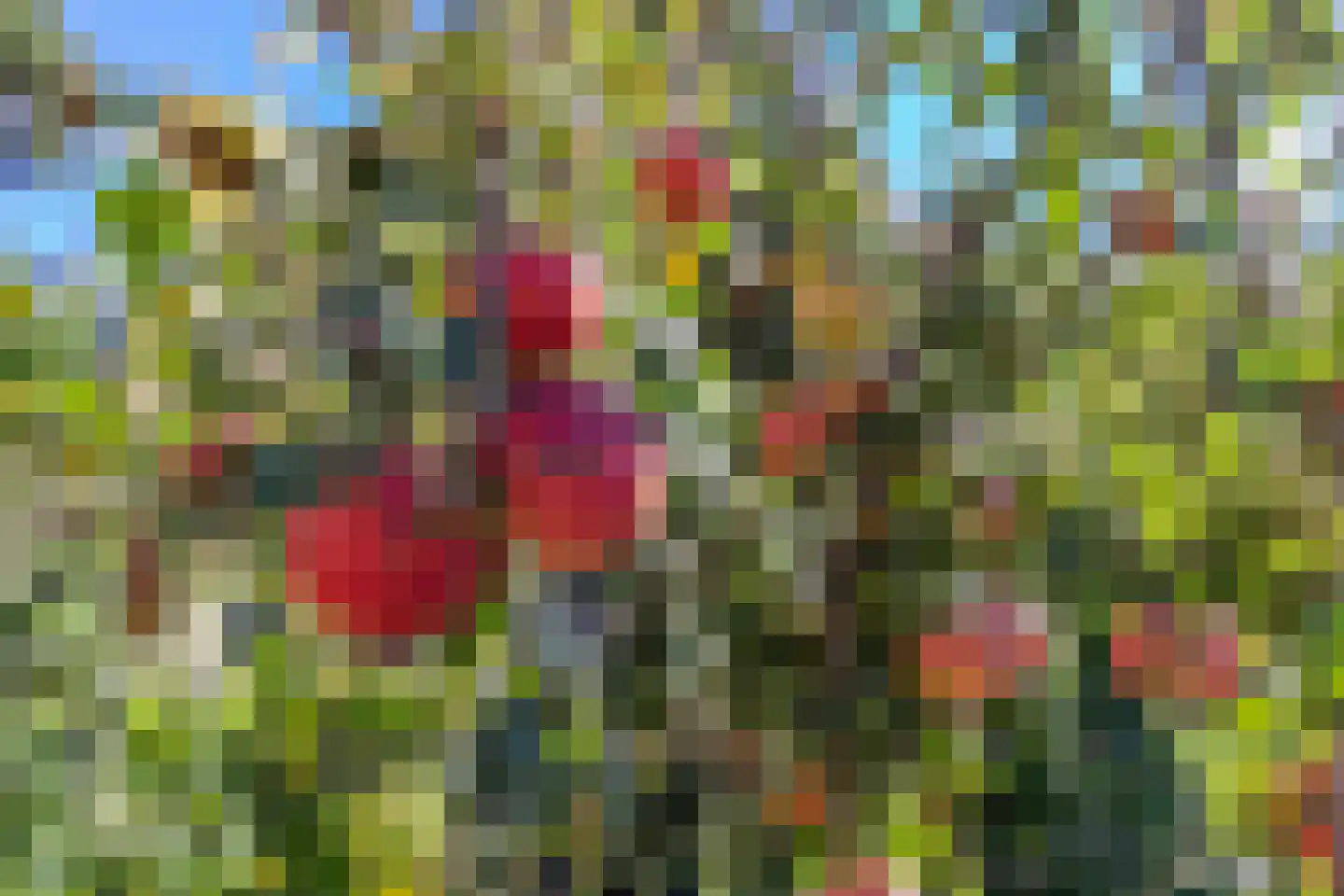 Ontginningsweg 6 Nijeholtwolde thumbnail 61