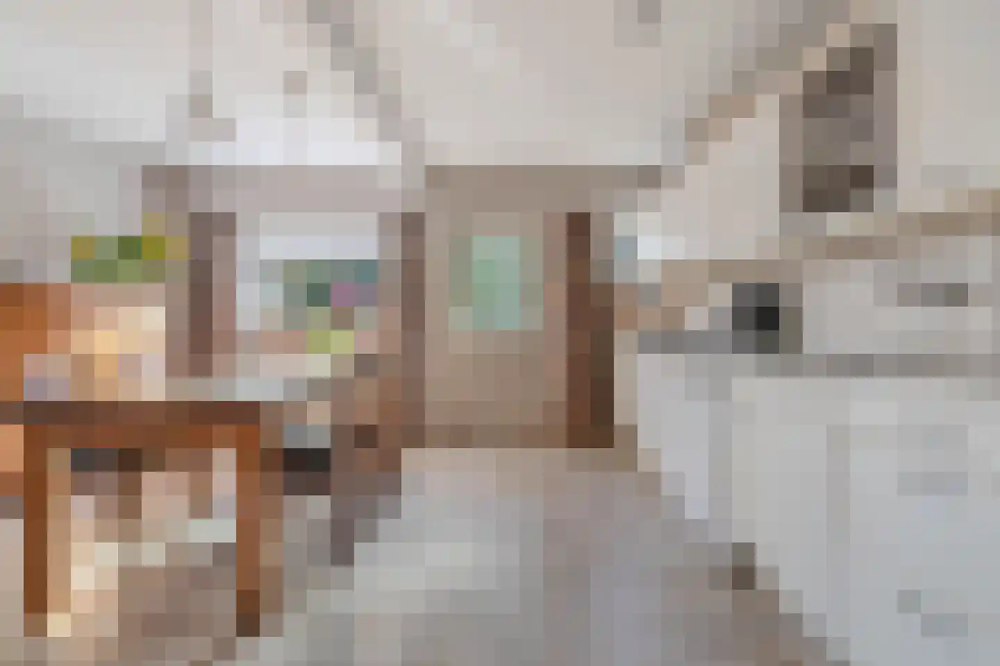 Ontginningsweg 6 Nijeholtwolde thumbnail 7