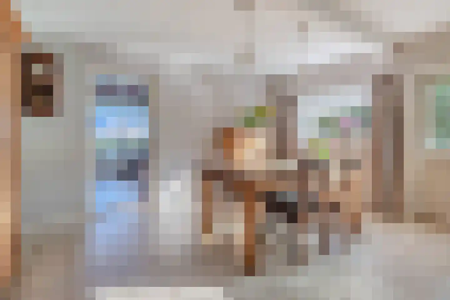 Ontginningsweg 6 Nijeholtwolde thumbnail 8