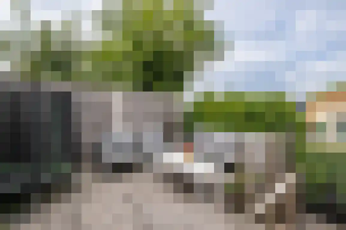 Onwaardsedijk 21 Dirksland thumbnail 4