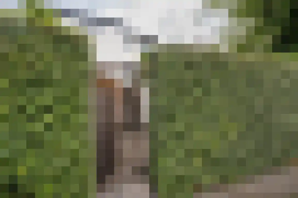 Onwaardsedijk 21 Dirksland thumbnail 43