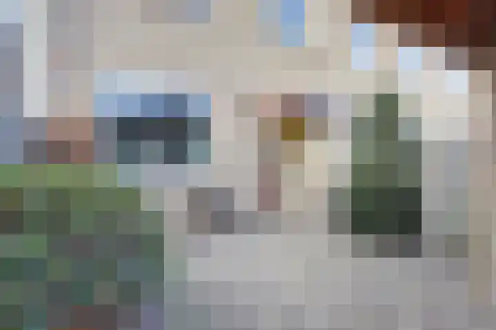 Onyx 12 's-Gravenzande thumbnail 15